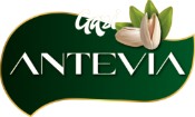 Antevia
